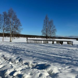 WhatsApp Image 2025-04-14 at 16.28.13